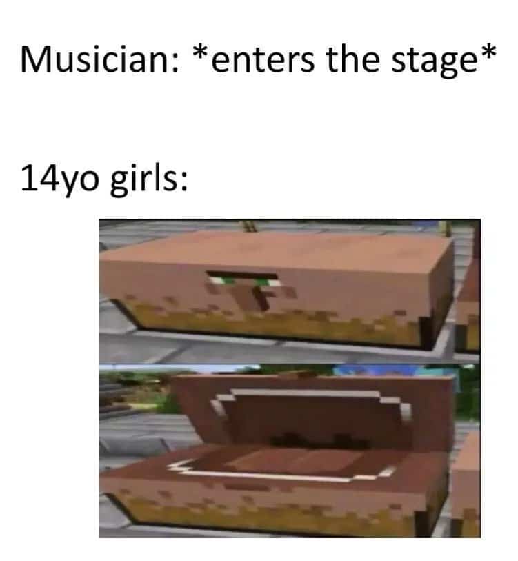 minecraft minecraft-memes minecraft text: Musician: *enters the stage* 14yo girls: 