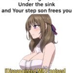 anime-memes anime text: When you get stuck Under the sink and Your step son frees you  anime