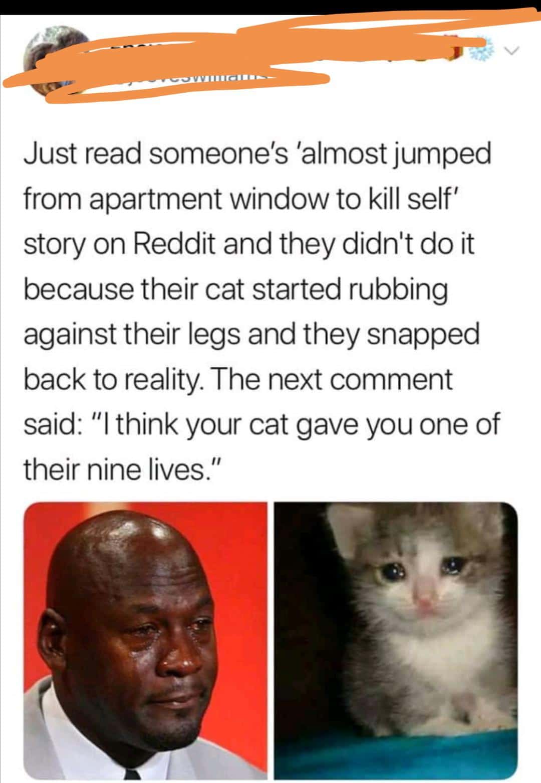 cute wholesome-memes cute text: Just read someone's 'almost jumped from apartment window to kill self' story on Reddit and they didn't do it because their cat started rubbing against their legs and they snapped back to reality The next comment said: 'Il think your cat gave you one of their nine lives.
