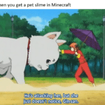 minecraft-memes minecraft text: When you get a pet slime in Minecraft He