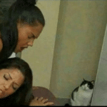 Two girls getting banged while a cat watches Uncategorized meme template blank