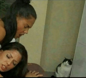 Two girls getting banged while a cat watches Ignoring meme template