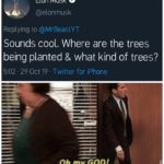 dank-memes cute text: Elon Musk e @elonmusk Replying to @MrBeastYT Sounds cool. Where are the trees being planted & what kind of trees? 5:02 • 29 Oct 19 Twitter for iPhone Oh my.GOD1 Okay, it