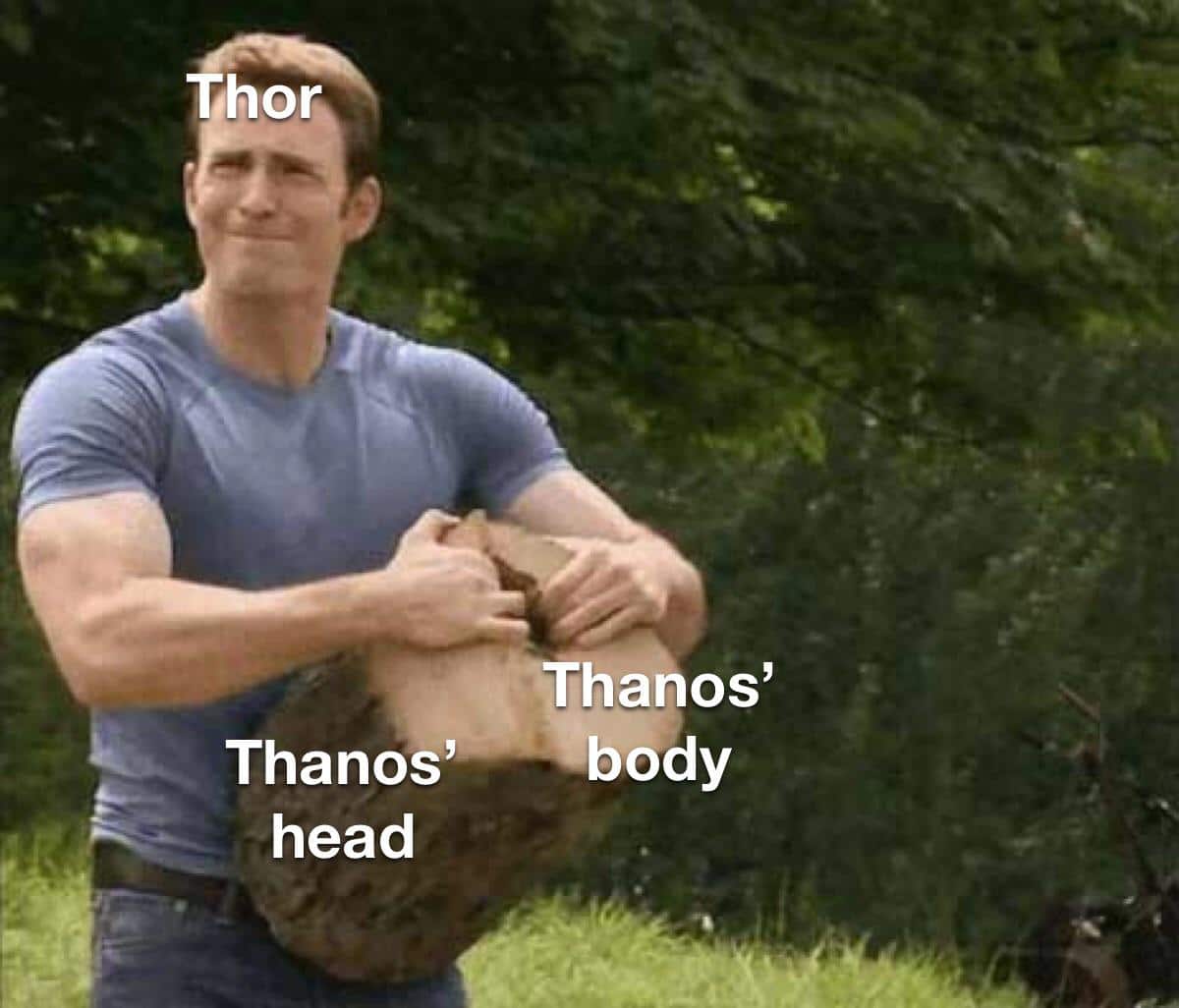 thanos avengers-memes thanos text: hor ftThanos' Thanos'——- body head 