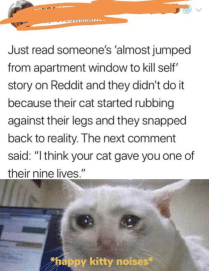 cute wholesome-memes cute text: Just read 'almost jumped from apartment whndcyw to kill sell' on Reddit and they didn't do it becalse cat started rubbing against their legs am they snapped back to reality The next commelt said: 