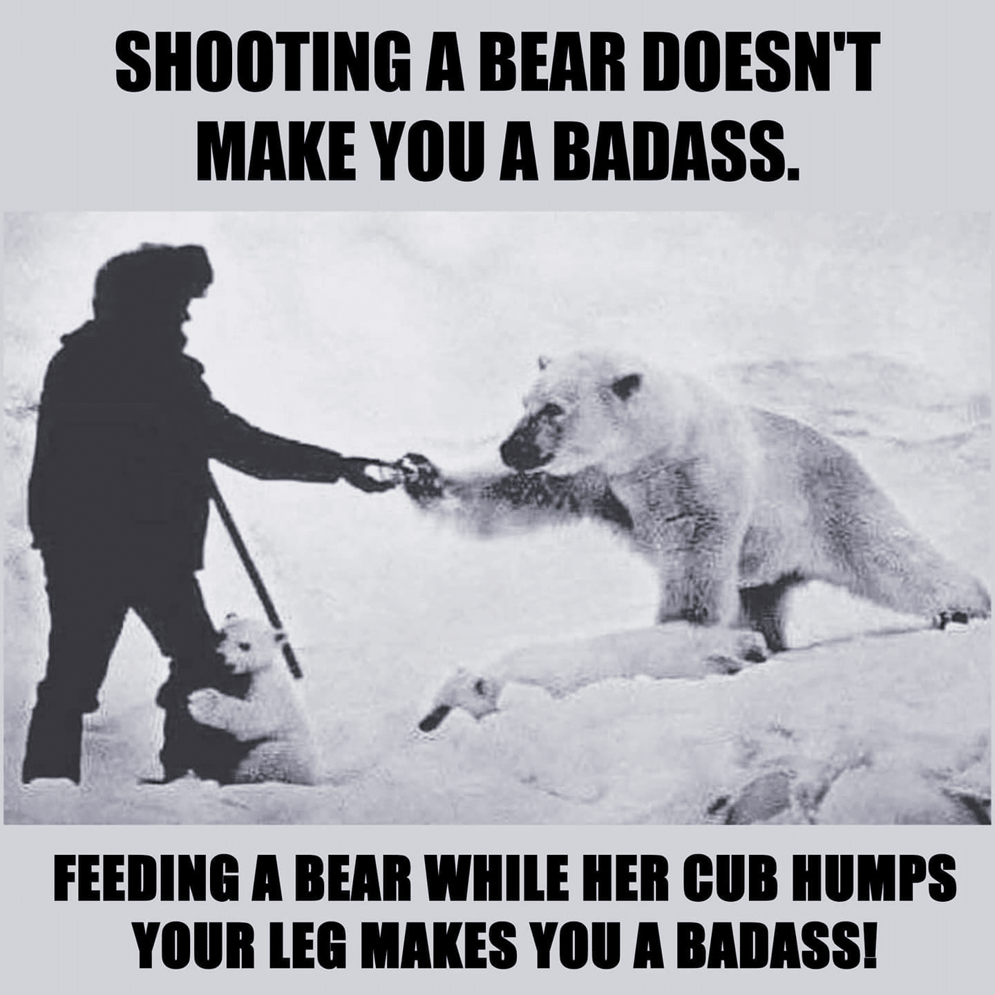 cute wholesome-memes cute text: SHOOTING A BEAR DOESN'T MAKE you A BADASS. FEEDING A BEAR WHILE HER CUB HUMPS yon LEG MAKES you A BADASSI 