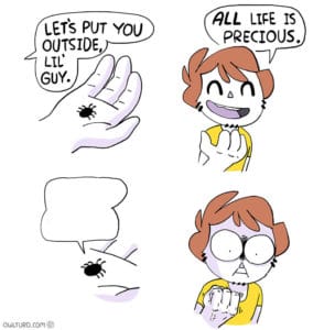Killing spider (Owlturd Comics, Blank) Saying meme template