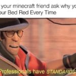 minecraft-memes minecraft text: When your minecraft friend ask why you dye your Bed Red Every Time z—qrofessonals have STANDA  minecraft