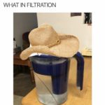 water-memes water text: WHAT IN FILTRATION  water