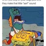 spongebob-memes spongebob text: when you step on your dogs paw and they make that little "aarf" sound  spongebob