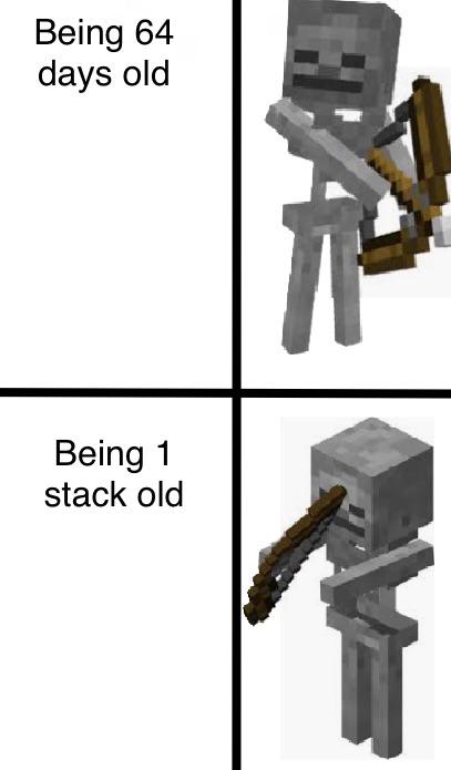 minecraft minecraft-memes minecraft text: Being 64 days old Being 1 stack old 