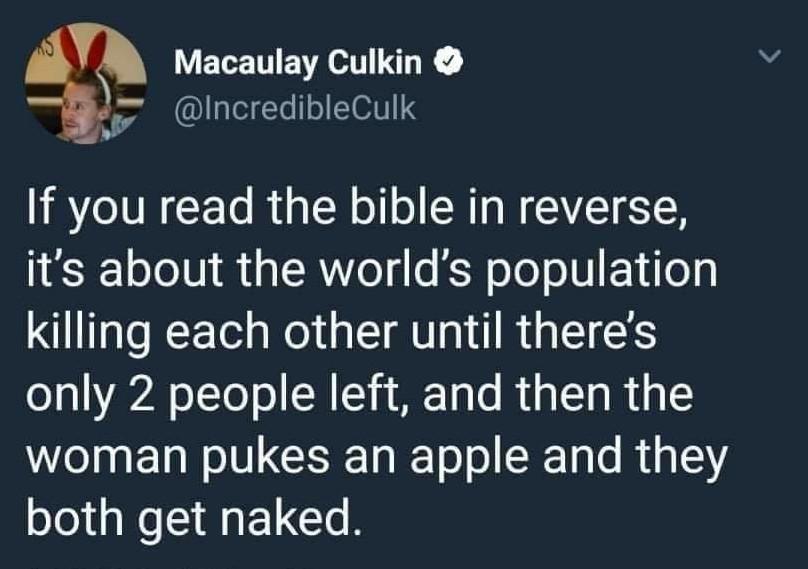 christian christian-memes christian text: Macaulay Culkin e @lncredibleCulk If you read the bible in reverse, it's about the world's population killing each other until there's only 2 people left, and then the woman pukes an apple and they both get naked. 
