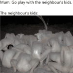 other-memes dank text: Mum: Go play with the neighbour