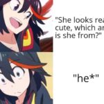 anime-memes anime text: "She looks really cute, which anime is she from?"  anime