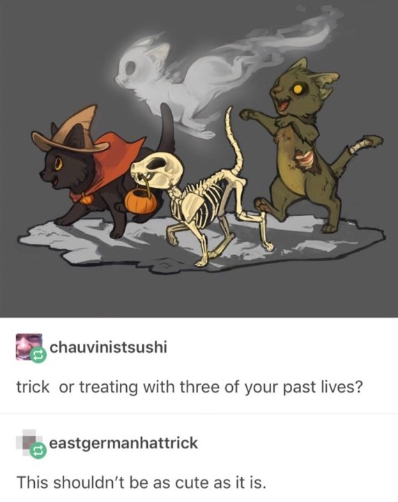 cute wholesome-memes cute text: chauvinistsushi trick or treating with three of your past lives? eastgermanhattrick This shouldn't be as cute as it is. 