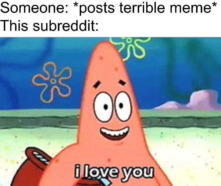 cute wholesome-memes cute text: Someone: *posts terrible meme* This subreddit: i love you 