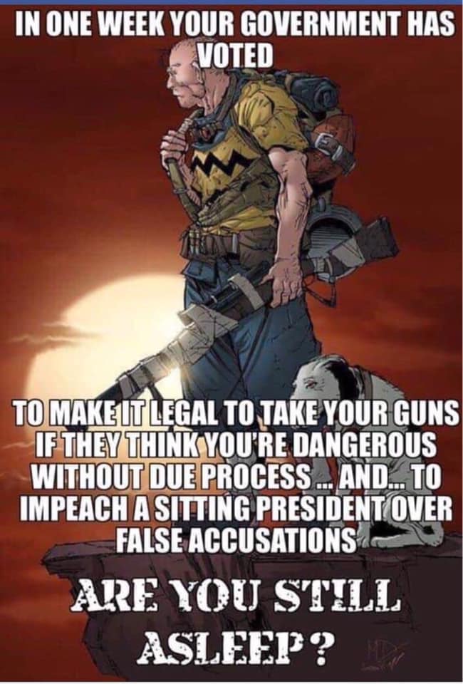 political political-memes political text: IN WEEK YOUR GOVERNMENT HAS TO MAKE IT LEGAL TO JAKE YOUR GUNS THIik YOU'RE DANGEROUS WITHOUT,DUE PROCESS .1. AND... TO IMPEACH A SITTING PRESIDENT(OVER ARE YOU STILL ASLEEP? 