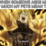 anime-memes anime text: WHEN SOMEONE ASKS ME HOW MUCH MY PETS MEAN TO ME The World! img!o.cun  anime