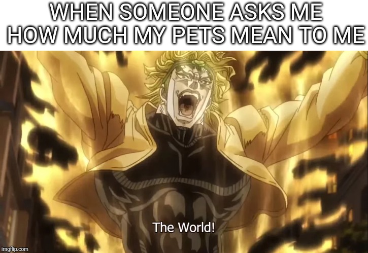 anime anime-memes anime text: WHEN SOMEONE ASKS ME HOW MUCH MY PETS MEAN TO ME The World! img!o.cun 