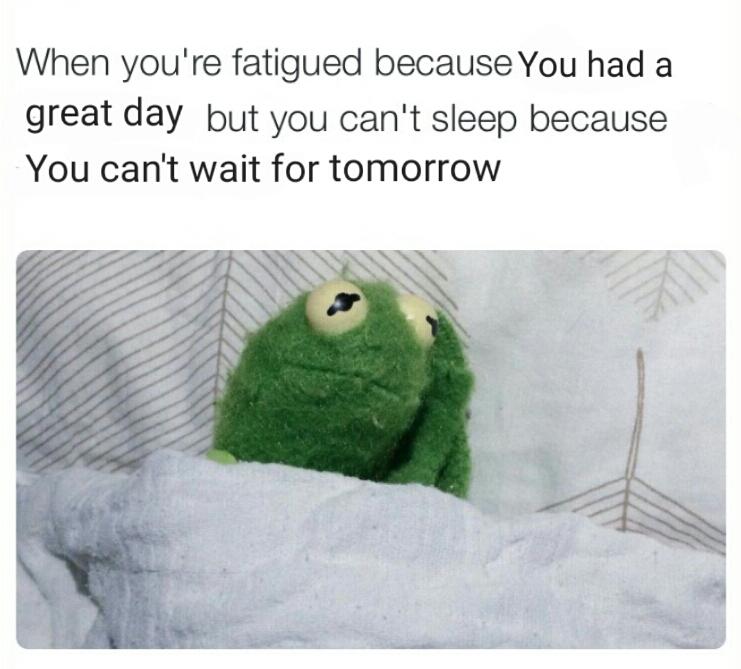 cute wholesome-memes cute text: When you're fatigued because You had a great day but you can't sleep because You can't wait for tomorrow 