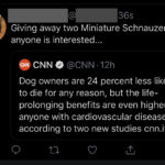 depression-memes depression text: Giving away two Miniature Schnauzers if anyone is interested... e @CNN. 12h Dog owners are 24 percent less likely to die for any reason, but the life- prolonging benefits are even higher for anyone with cardiovascular disease, according to two new studies cnn.it/...  depression