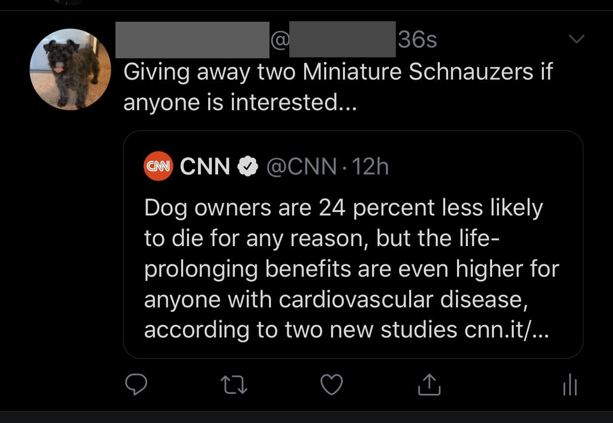 depression depression-memes depression text: Giving away two Miniature Schnauzers if anyone is interested... e @CNN. 12h Dog owners are 24 percent less likely to die for any reason, but the life- prolonging benefits are even higher for anyone with cardiovascular disease, according to two new studies cnn.it/... 