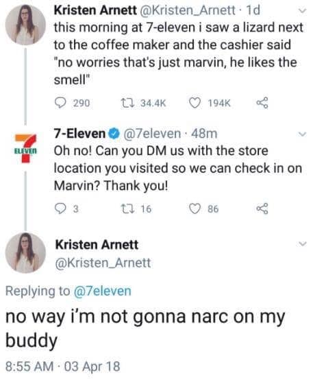 cute wholesome-memes cute text: Kristen Arnett @Kristen_Arnett • Id this morning at 7-eleven i saw a lizard next to the coffee maker and the cashier said 
