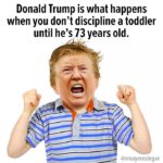 political-memes political text: Donald Trump is what happens when you don