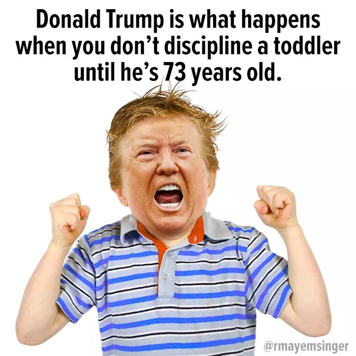 political political-memes political text: Donald Trump is what happens when you don't discipline a toddler until he's? years old. @rmayemsinger 