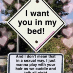 wholesome-memes cute text: -i I want you in my bed! on t mean a n in a sexual way. I just wanna play with your hair as we cuddle and talk all ni ht  cute