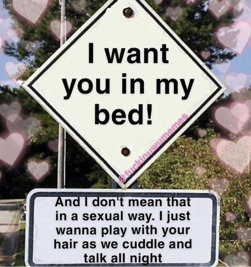 cute wholesome-memes cute text: -i I want you in my bed! on t mean a n in a sexual way. I just wanna play with your hair as we cuddle and talk all ni ht 