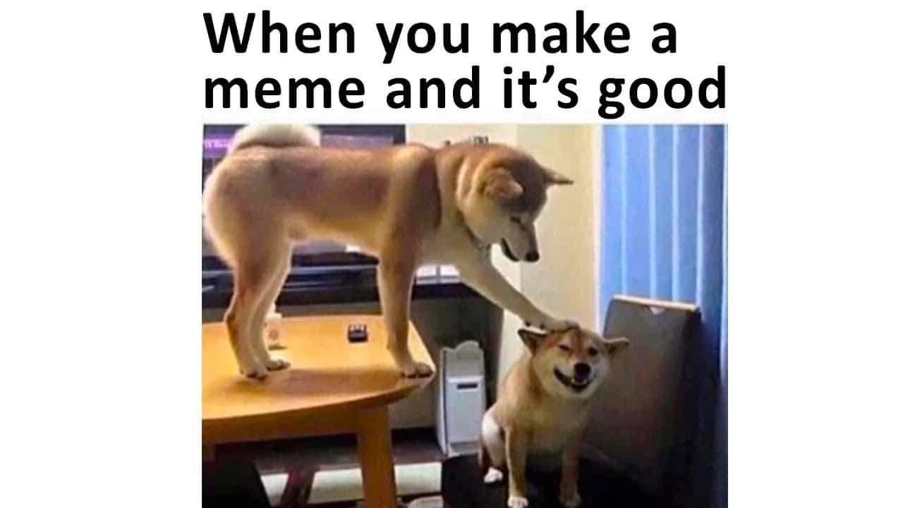 cute wholesome-memes cute text: When you make a meme and it's good 