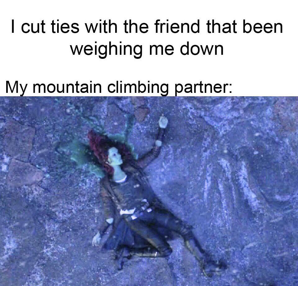 Dank Meme dank-memes cute text: I cut ties with the friend that been weighing me down M mountain climbin artner: 