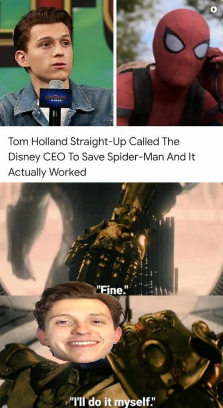 thanos avengers-memes thanos text: Tom Holland Straight-Up Called The Disney CEO To Save Spider-Man And It Actually Worked 