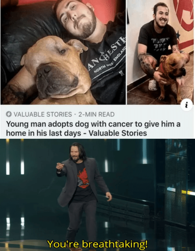 cute wholesome-memes cute text: O VALUABLE STORIES 2-MIN READ Young man adopts dog with cancer to give him a home in his last days - Valuable Stories You're 