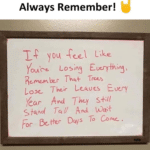 wholesome-memes cute text: Always Remember! Like OUCee Lo Re-men Trees Their Lecwes Every Lose— The—Y For Dqys To cmac.  cute
