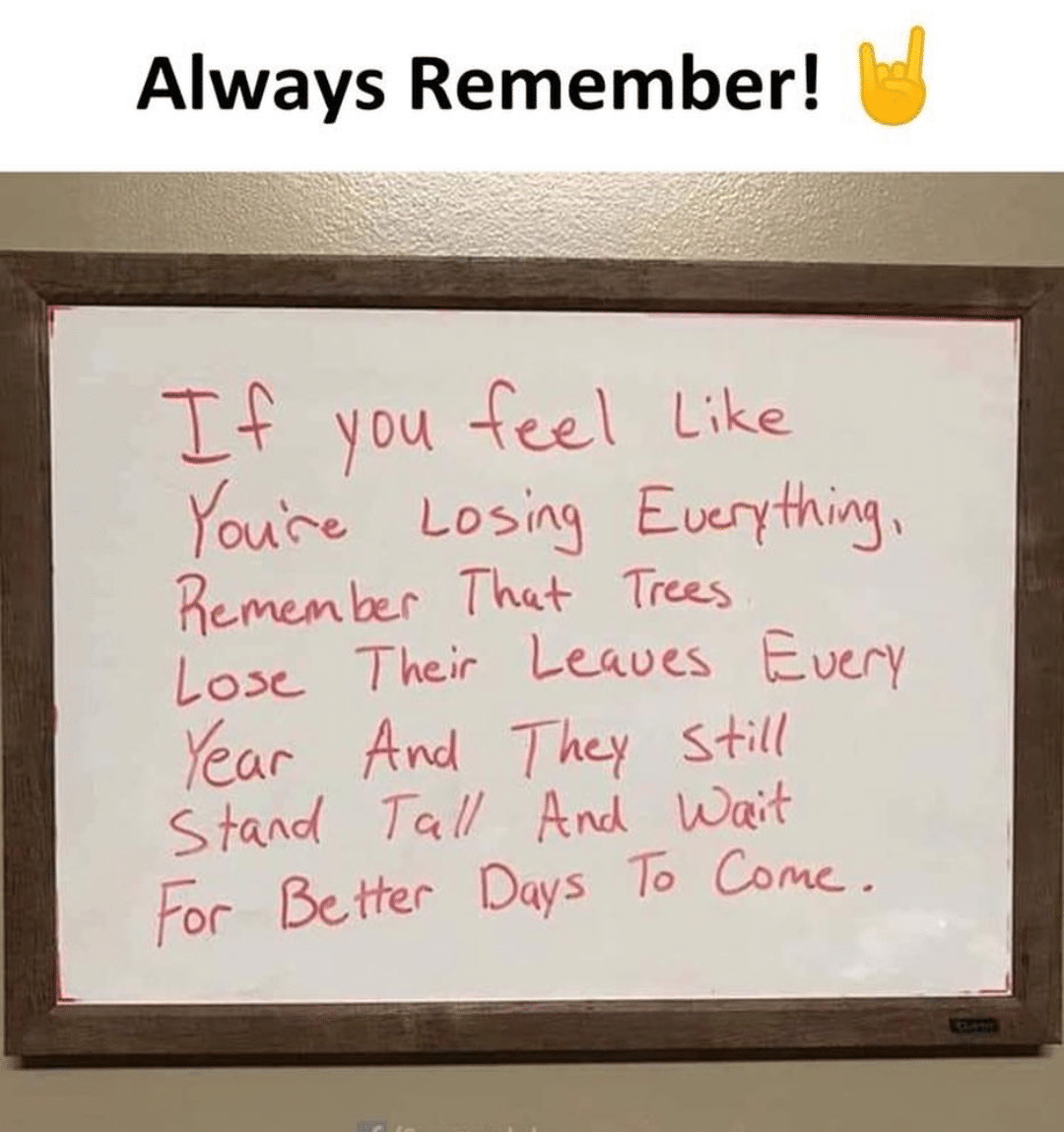 cute wholesome-memes cute text: Always Remember! Like OUCee Lo Re-men Trees Their Lecwes Every Lose— The—Y For Dqys To cmac. 