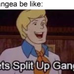 history-memes history text: Pangea be like: Lets Split UpX9ang!  history