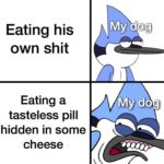 dank-memes cute text: Eating his own shit Eating a tasteless pill hidden in some cheese My do • do  Dank Meme