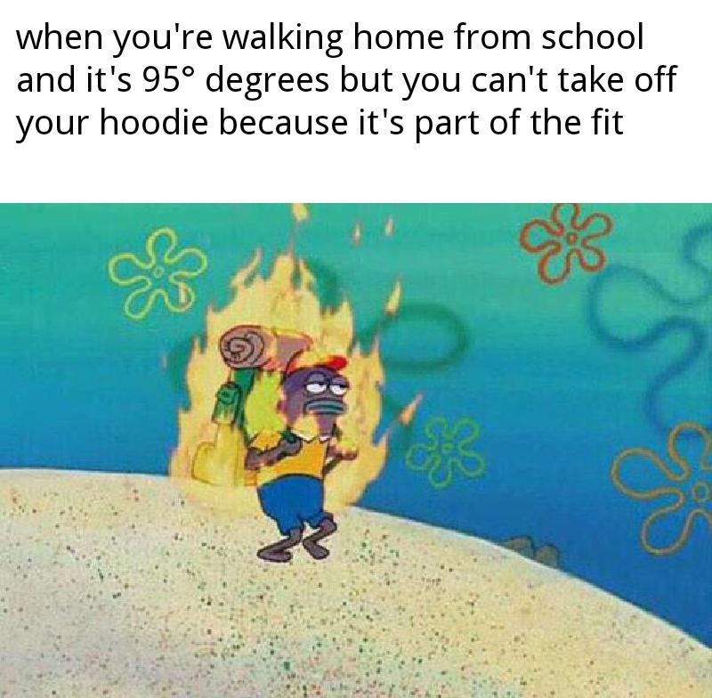 Dank Meme dank-memes cute text: when you're walking home from school and it's 950 degrees but you can't take off your hoodie because it's part of the fit 