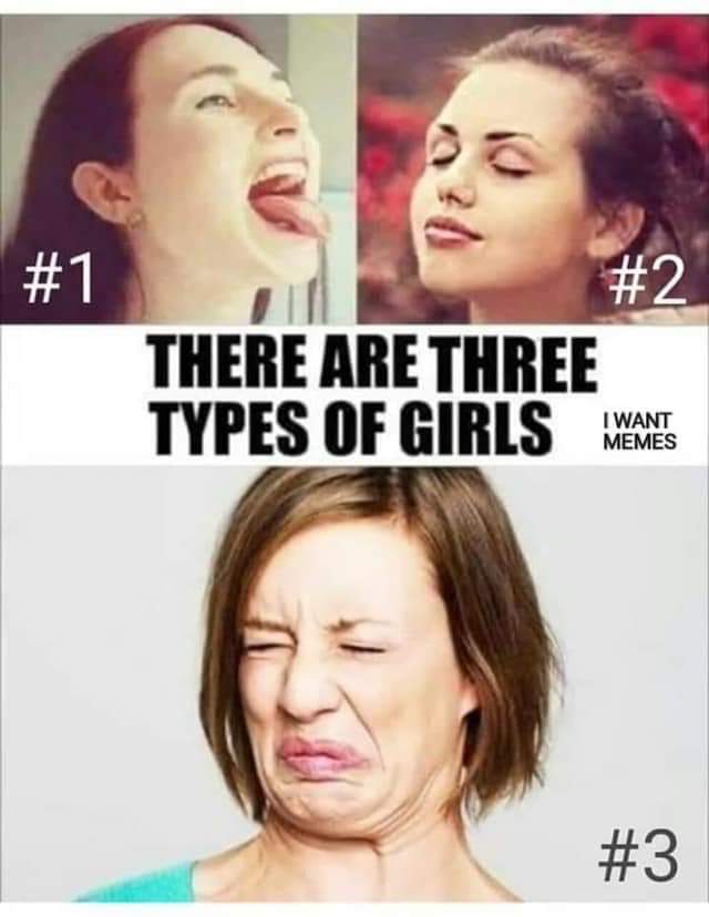 misc memes misc text: #2 THERE ARE THREE TYPES OF GIRLS I WANT MEMES 
