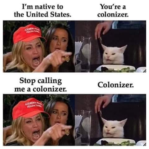 political political-memes political text: I'm native to the United States. Stop calling me a colonizer. You're a colonizer. Colonizer. 