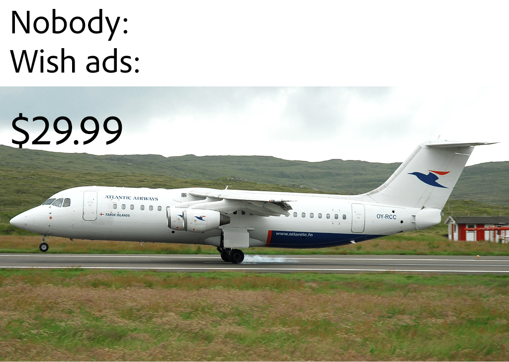 Dank Meme dank-memes cute text: Nobody: Wish ads: 29.99 AIRWAYS OY.RCc 