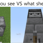 minecraft-memes minecraft text: What you see VS what she sees  minecraft