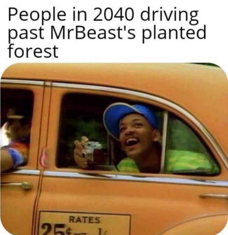 cute wholesome-memes cute text: People in 2040 driving past MrBeast's planted forest RATES 