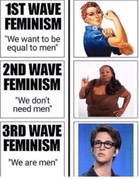 political boomer-memes political text: 1ST WAVE FEMINISM 