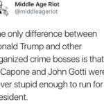 political-memes political text: Middle Age Riot @middleageriot The only difference between Donald Trump and other organized crime bosses is that Al Capone and John Gotti were never stupid enough to run for president.  political