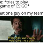 avengers-memes thanos text: Me: *tries to play a game of CS:GO* That one guy on my team: Waitewait, wait; wait, wait! Give me a gun!  thanos