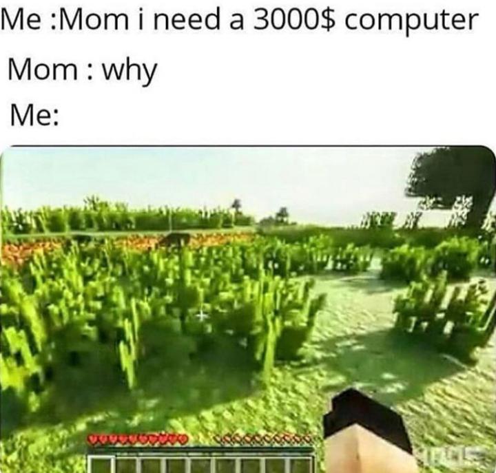 dank other-memes dank text: vile :Mom i need a 3000$ computer Mom : why 