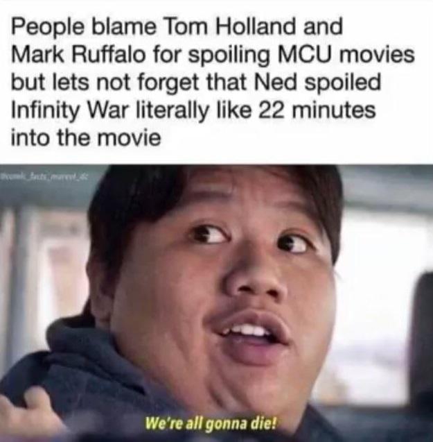 thanos avengers-memes thanos text: People blame Tom Holland and Mark Ruffalo for spoiling MCU movies but lets not forget that Ned spoiled Infinity War literally like 22 minutes into the movie We're all gonna die! 